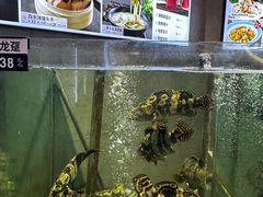 -宴小馆·小海鲜青岛菜(五四广场店)