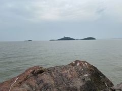 -上海市保健医疗中心