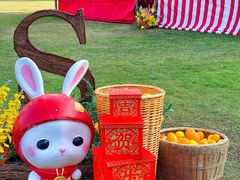 -海南清水湾莱佛士酒店