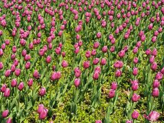 -长春公园(普阳街道)