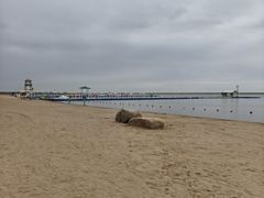 -碧海金沙