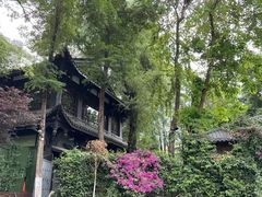 -大妙火锅·非物质文化遗产(东湖公园店)