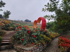 -九龙潭景区