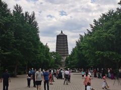 -玲珑塔公园