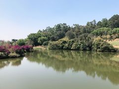 -南国桃园旅游度假区