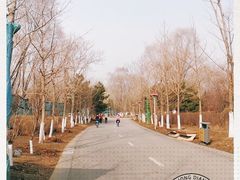 -长白岛森林公园