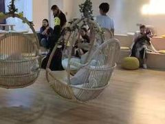 -Husky Go! 哈士奇体验馆·宠物咖啡厅狗咖