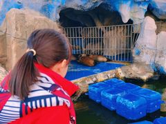 -华夏文旅海洋公园