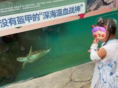 -海合安成都极地海洋公园