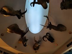 -陕西自然博物馆