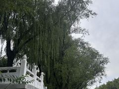 -南长河公园