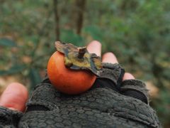 -南山风景名胜区