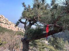 -崂山仰口游览区