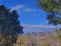 -飞凤山奥体公园