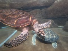 -福州罗源湾海洋世界旅游区