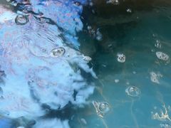 -锅老头铁锅炖•大锅蒸汽海鲜(韩乐坊店)