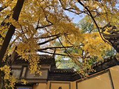 -惠山古镇·寄畅园