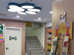 -天使宠物医院·犬猫分诊(彩虹店)