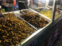 -席娜卡琳火车铁道夜市