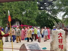 -大槐树寻根祭祖园