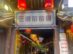 -三道苗苗鱼·美蛙黄辣丁(八里店)