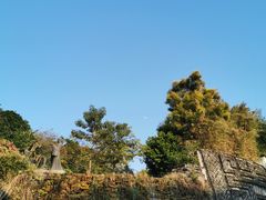 -广州神农草堂中医药博物馆