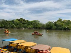 -吴淞炮台湾湿地森林公园烧烤区