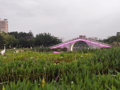 -映月湖公园