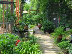-谷咖啡·鲜花绿植花园餐厅