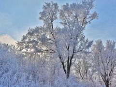 -中旅松花湖滑雪场