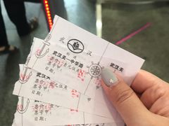 -武汉关码头(轮渡站)