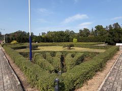 -南沙蒲洲花园
