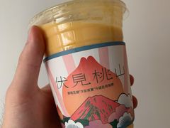 -伏小桃(明瓦廊店)