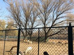 景点-南海子公园