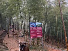 -宁波浙东大竹海景区