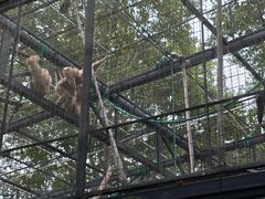 -上海动物园(地铁站)