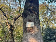 -岳麓山风景名胜区