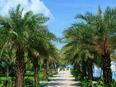 android_upload_pic-惠州金海湾嘉华度假酒店