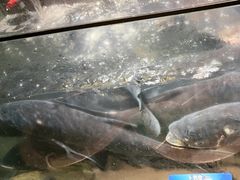 -上名堂·鱼头好吃(体育场路店)