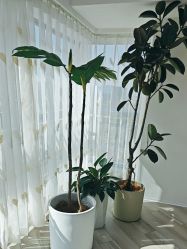 -HEYAN荷妍专业脱毛连锁机构