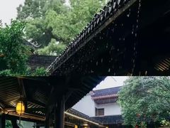-长田漾湿地公园
