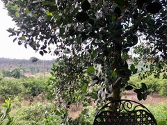 -侯臣咖啡文化村