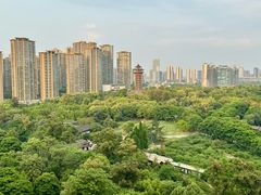 -塔子山公园