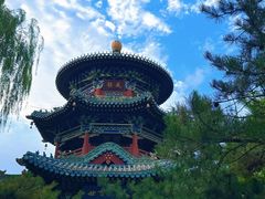 -迎泽公园
