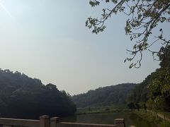 -李小龙乐园(顺德均安店)