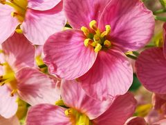 -中国天府农业博览园