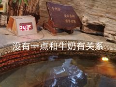 -泉城欧乐堡戏水湾艺术养生温泉