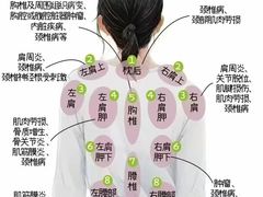 -新紫霞养生·影院足道·SPA(金山区店)