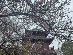 -堤角公园