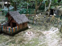 -呀诺达热带雨林